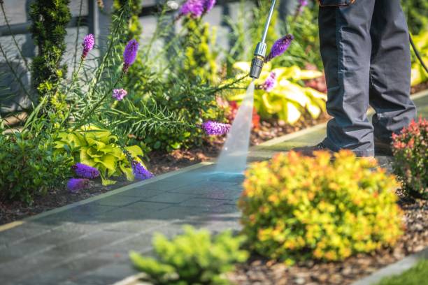 Best Dumpster Area Cleaning  in Kimberly, WI